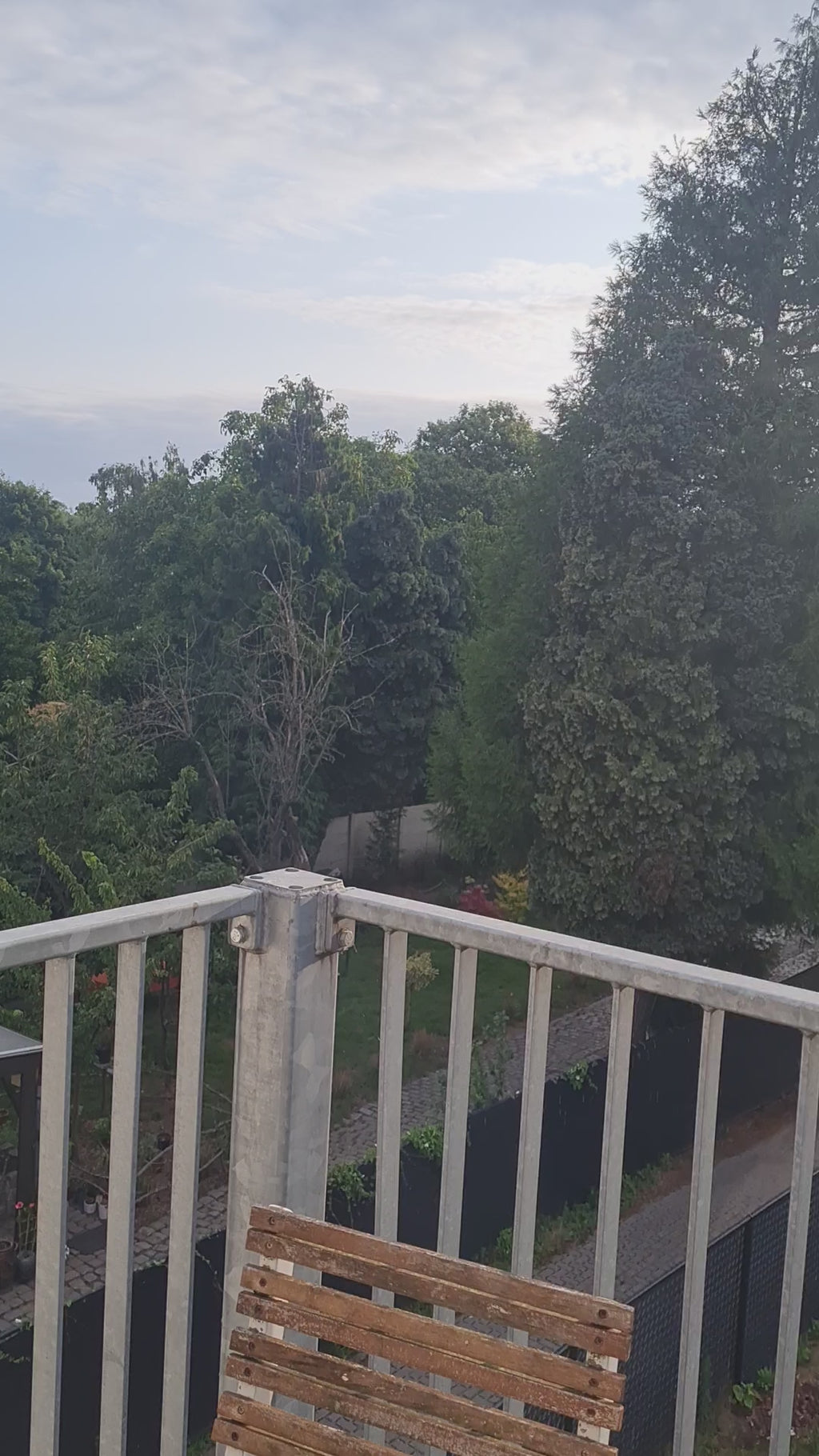 Sweetheart Lace – romantische kantveters met hartjes